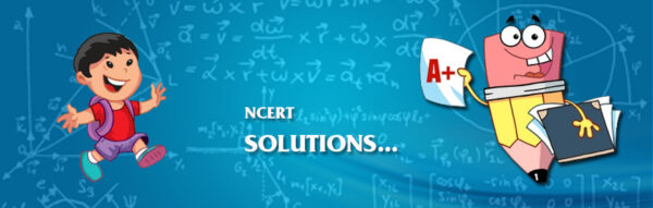 maths NCERT solutions