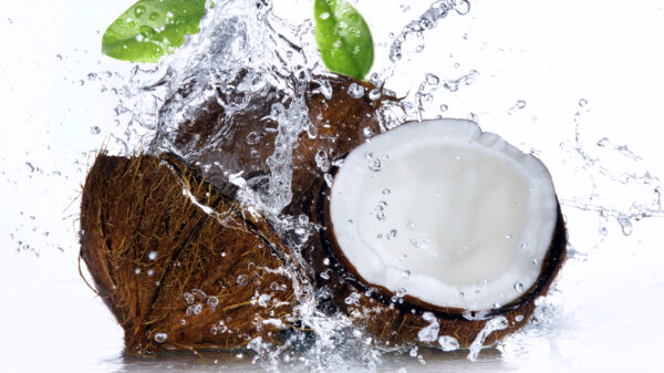 Astonishing Wellness Advantages of Coconut Water