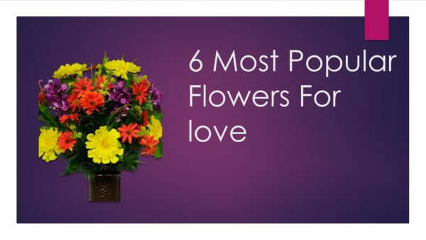 6 Most Popular Flowers For love