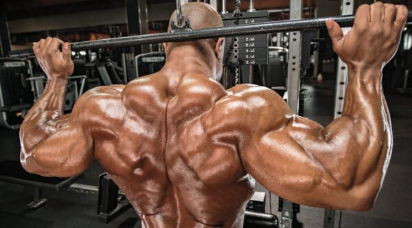 Phil heath workout routine