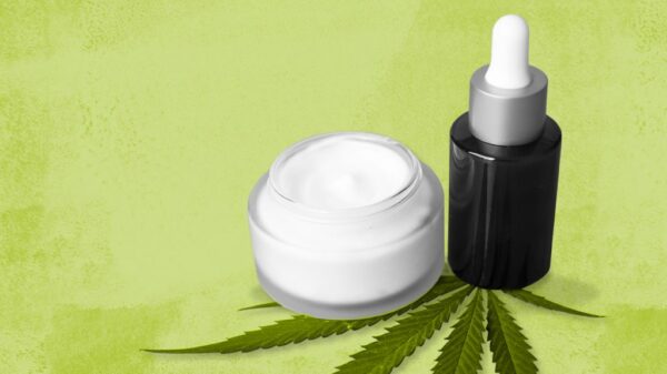 What Are The Different CBD-Related Products In The Market?