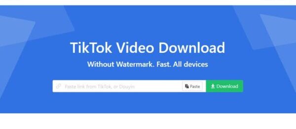 Introducing TK2DL: TikTok Video Downloads Without Watermarks
